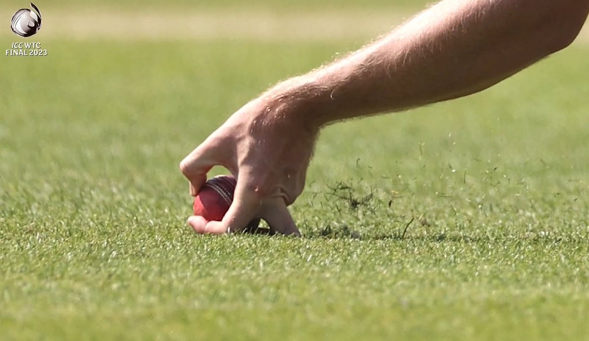 Robin_aries's tweet photo. @cricketcomau Definitely screamer https://t.co/1L3kstztRJ