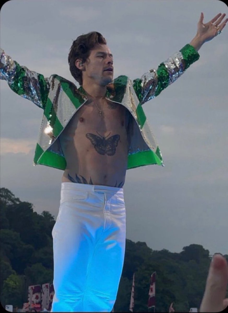 harry on stage at slane castle.