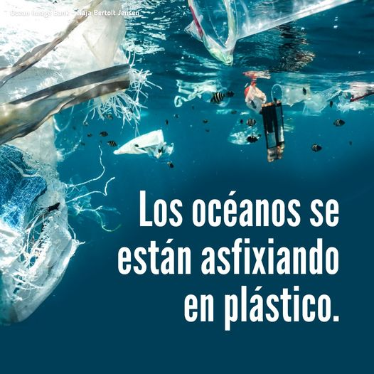 “Los océanos se están asfixiando en plástico, presente en los atolones más remotos o las fosas oceánicas más profundas”.
El plástico es la mayor amenaza de los mares.
Haz tu parte. Protege los océanos. Garantiza nuestra supervivencia. No más plástico de un uso
#DíaDeLosOcéanos