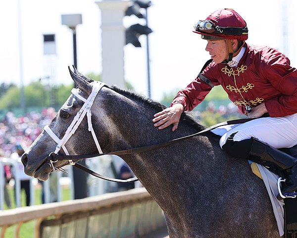 ALERT: Caravel Wins Fifth Straight in Jaipur bit.ly/45Z6aXc <a href="/BH_Bking/">Byron King</a>