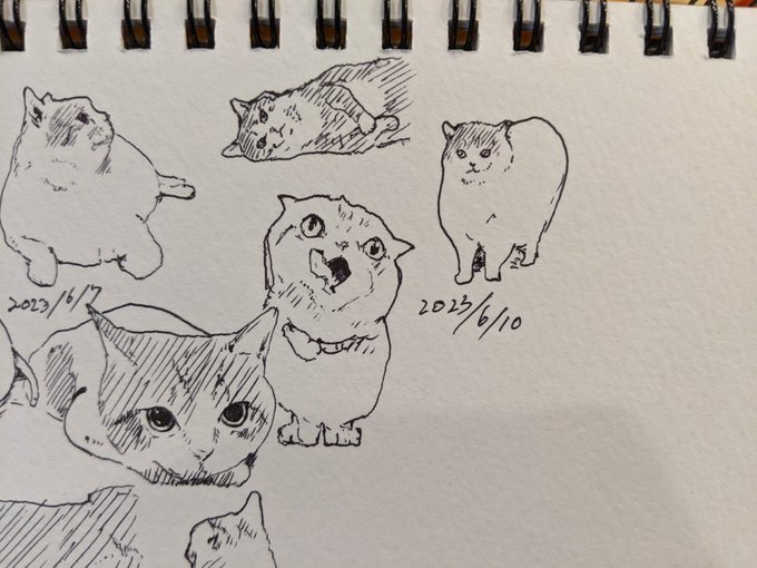 人間、寒いとき、腹減ってるとき、疲れてるとき、ロクなことを考えん。(じゃりン子チエ) カキカキ。 