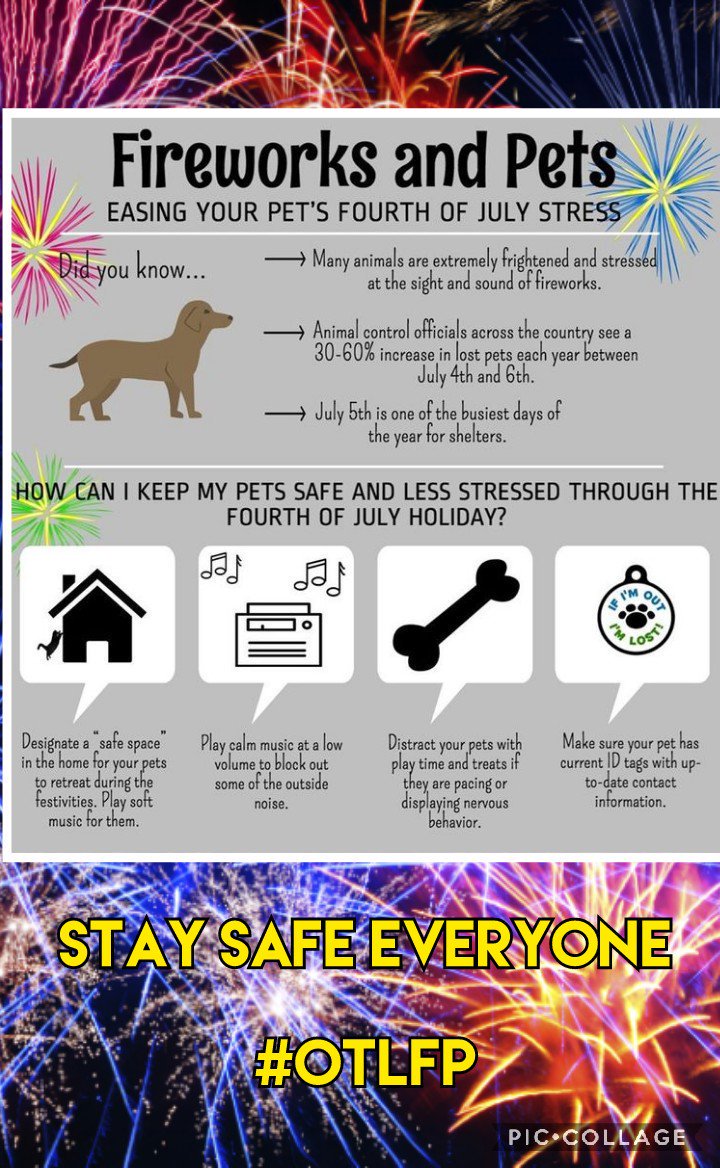 #OTLFP 
✨ Fireworks season has begun in the U.S. 🎆  Please take steps to keep your pets safe and to lower their stress. Here are some ways to do that ✨