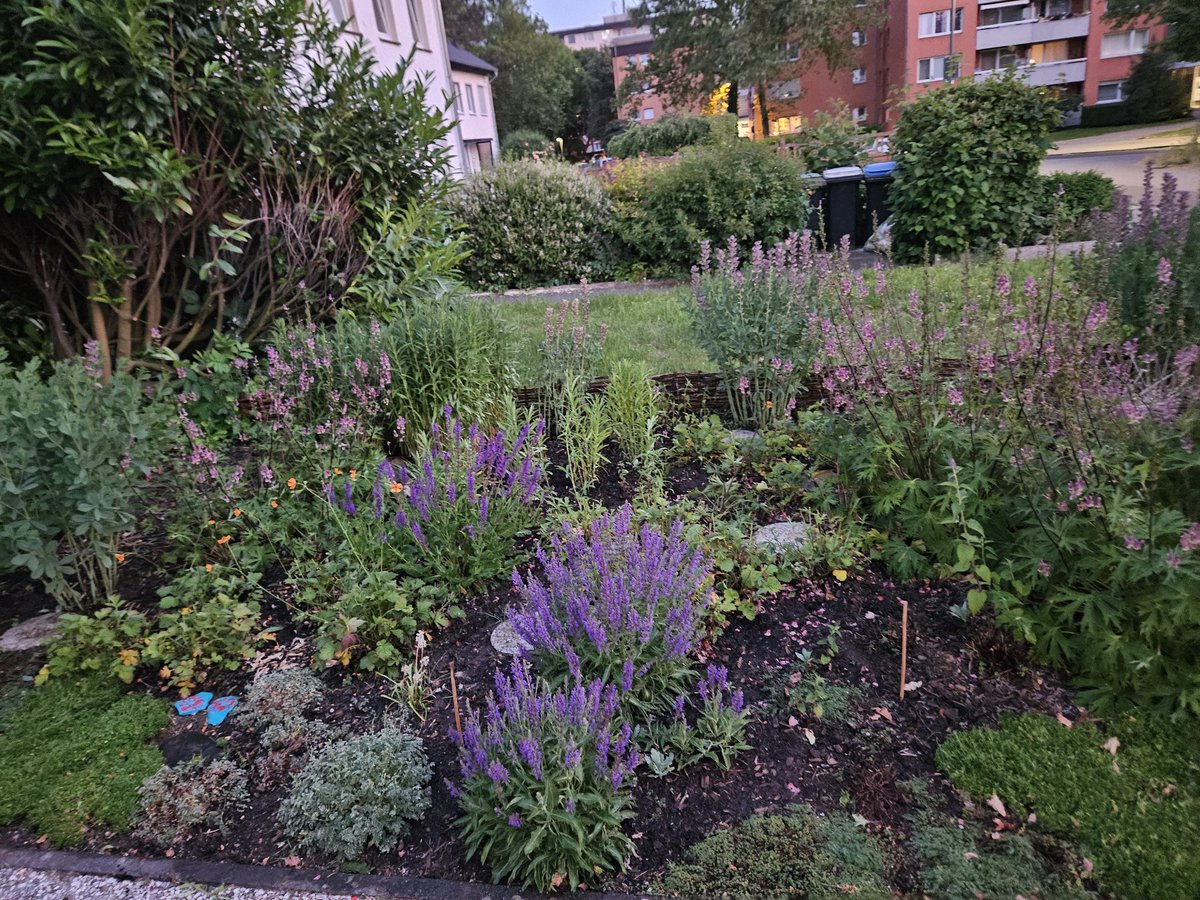 Vorgarten aufgeräumt und bewässert