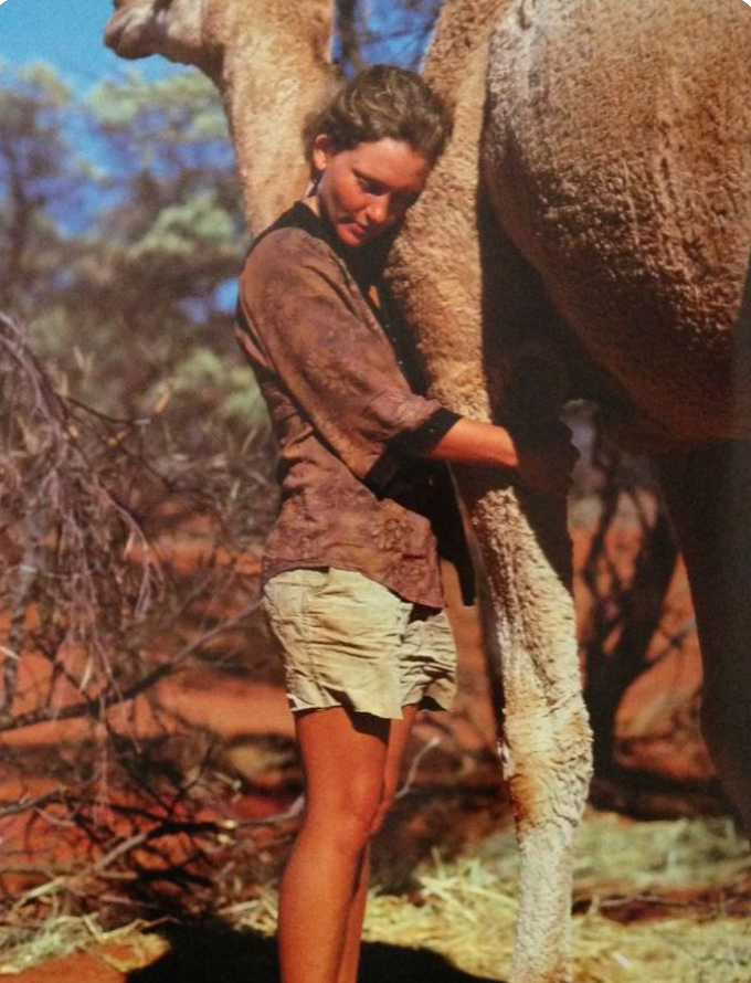 Nefise Elif Kuru (@nyapge) on Twitter photo 