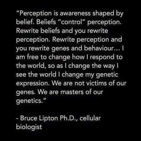 #perception #BruceLipton #life #Happiness
