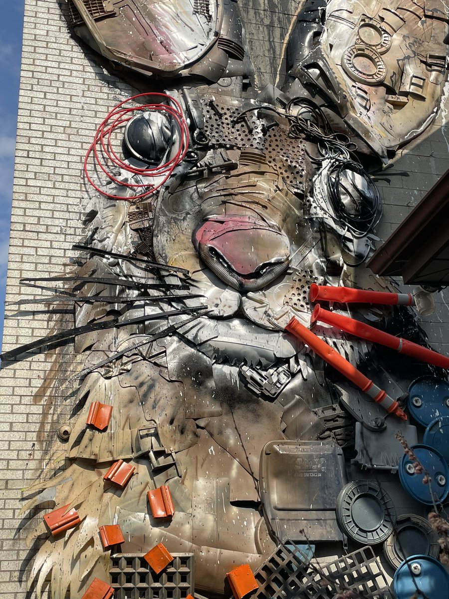 SÉRGIO MOURATO tweet media