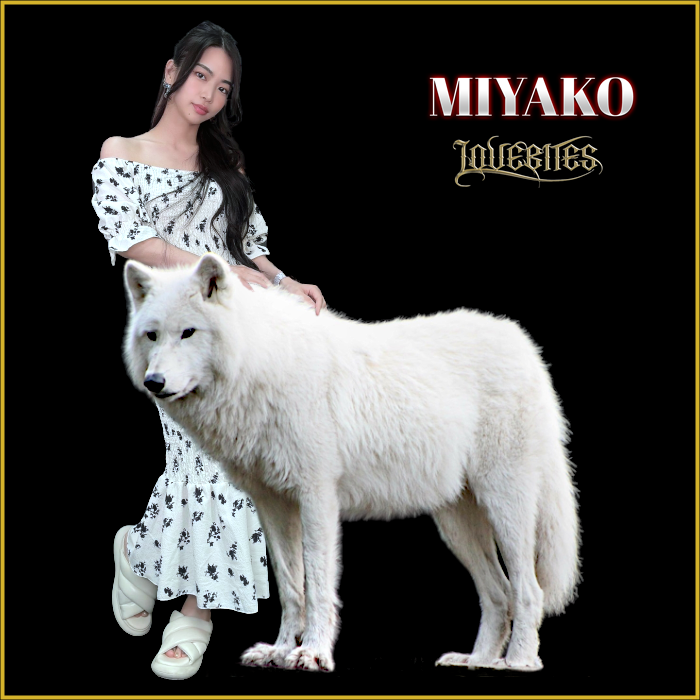 🥰Miyako🎸
#miyastagram #miyako #lovebites #shredder #metalgirls #HeavyMetal 
youtube.com/@officialMIYAKO