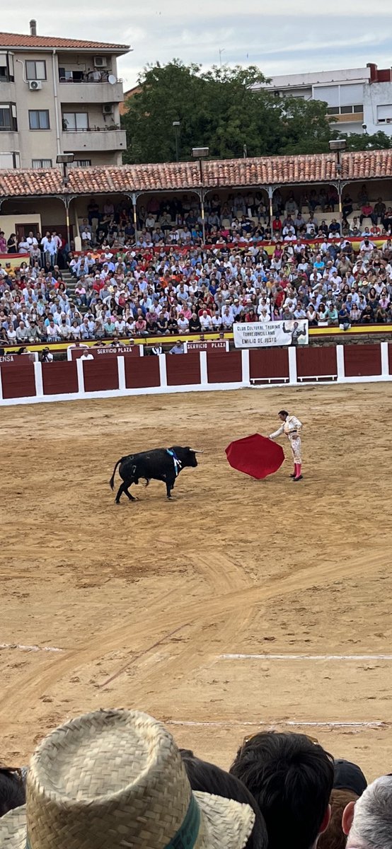 jorgeblasmallo's tweet photo. Viva la fiesta nacional 🇪🇸 https://t.co/sV3JITXs2t