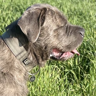 neilspringall2's tweet photo. #NewProfilePic https://t.co/9oUGAyCFIb