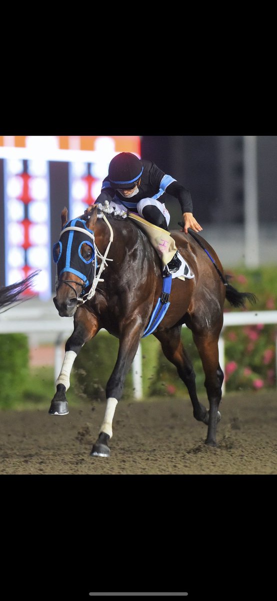 #longrunner Güle güle şampiyon, en güçlü, en heybetli, en hızlısıydın.