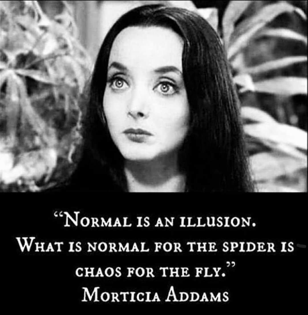 IamPicoy's tweet image. #Prespective