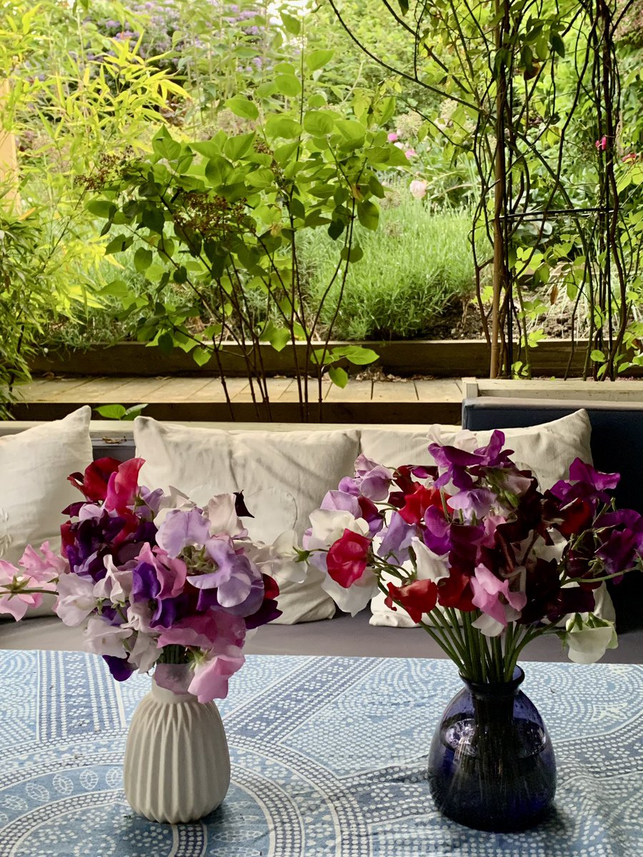 Summer sweet peas at home…