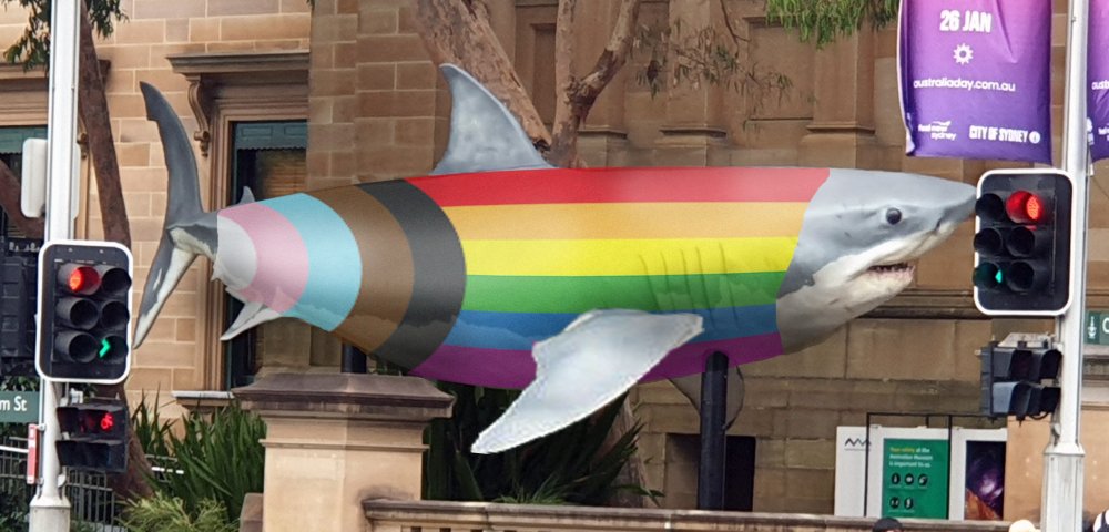 Thinking about the Australian pride shark, hope he's doing well tonight.