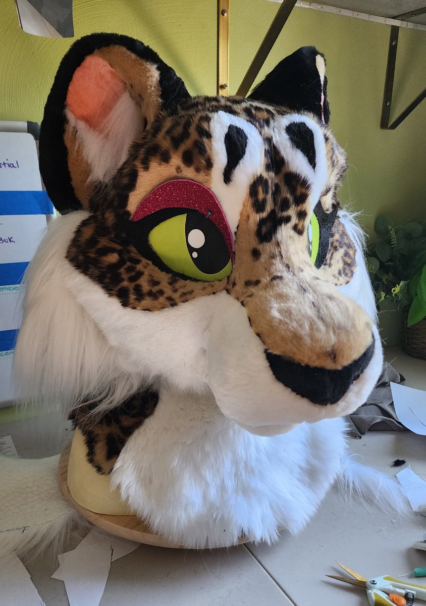 TBarkCreations's tweet image. I wanted to see how much work I could do now that I'm starting work back up on Monday. Spent 4 hours working, absolutely dead now. 
More rest is needed.
 
This kitty is almost done though! 

#fursuit #fursuitmaker #furry #fursona # fursuitforsale