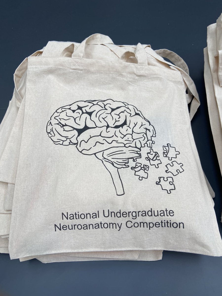 Ameerah Gardee #FreePalestine tweet media