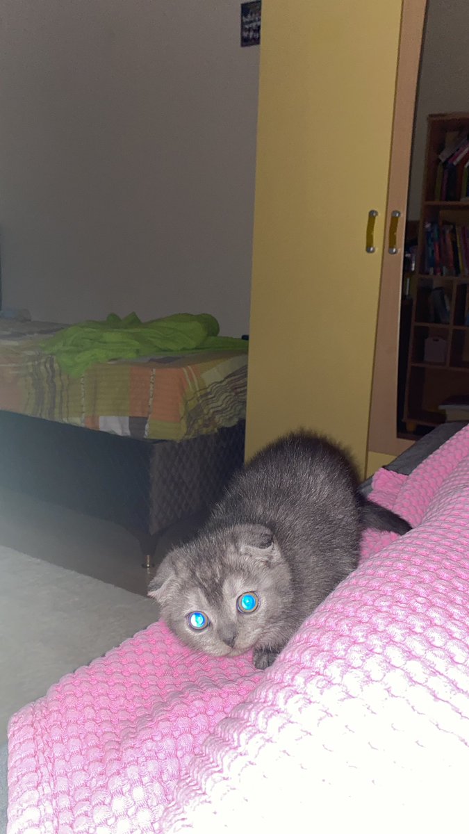 euzubillahimineşşeytanirracim oğlum cin galiba oynat bakalım