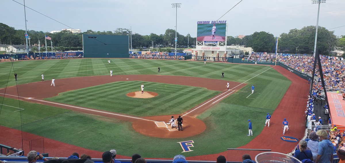 galturtle12's tweet photo. Today's view. @GatorsBB  #GoGators let's get the W today. https://t.co/aMiafWp1Kl