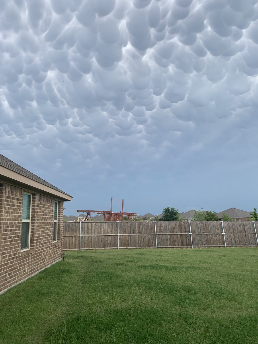 Kelly Meagher tweet media