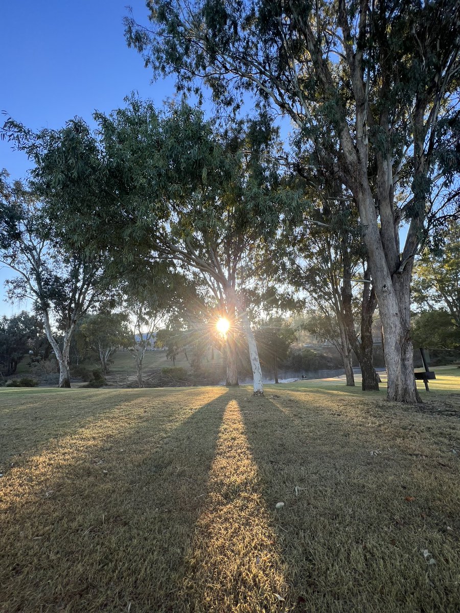 Good morning from #Tamworth ❄️😎