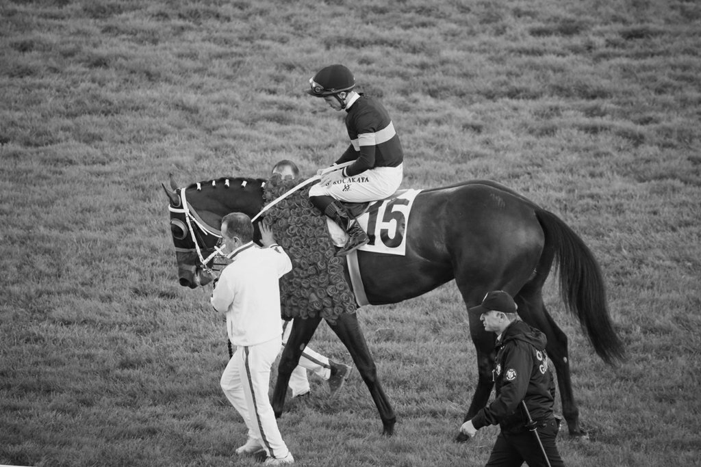 Vay be sana veda tweeti atmak da varmış Long. Bir gün bu tweeti atacağım günün geleceğini biliyordum ama bu kadar erken olacağı aklımın ucundan bile geçmezdi.Çok savaştın, çok acı çektin ama şimdi huzura kavuştun,zaten tek tesellim de bu. HOŞÇAKAL ŞAMPİYON,EFSANE,REKORTMEN...