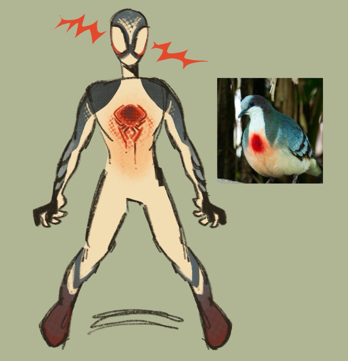 pummelsaturday's tweet image. spidey design based on the luzon bleeding heart dove bc its so fuckin cool