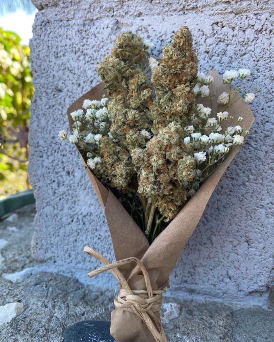 my kind of flowers 🤩🍃
#OTC #OffTheCharts #GetYourMindRight
