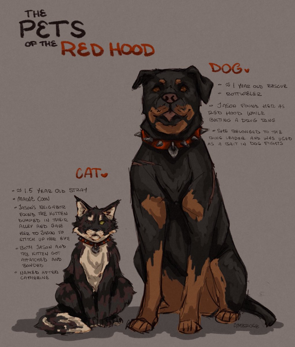 The loyal companions of the Red Hood!!