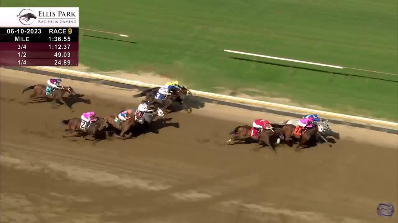 Ellis Park Racing & Gaming on Twitter "4️⃣ KyDerby grads are entered in tomorrow