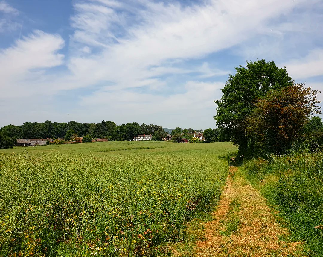 sharonamery's tweet photo. What a lovely day for a 15 mile walk through the #Herefordshire countryside. The circular route isn't one I've done before, but it went from #Hereford to #Burghill, #Credenhill, #StrettonSugwas and a little bit of #Breinton, before heading back into Hereford.
#Summer #Walking https://t.co/OiKpTTO45f