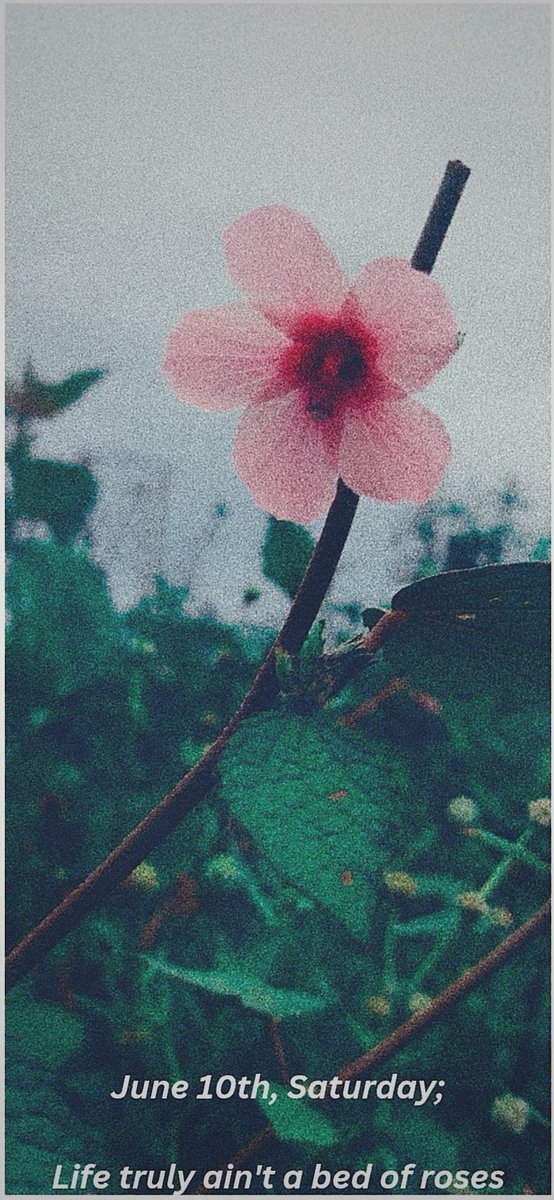 kabir_hamza_'s tweet image. June 10th, Saturday ;