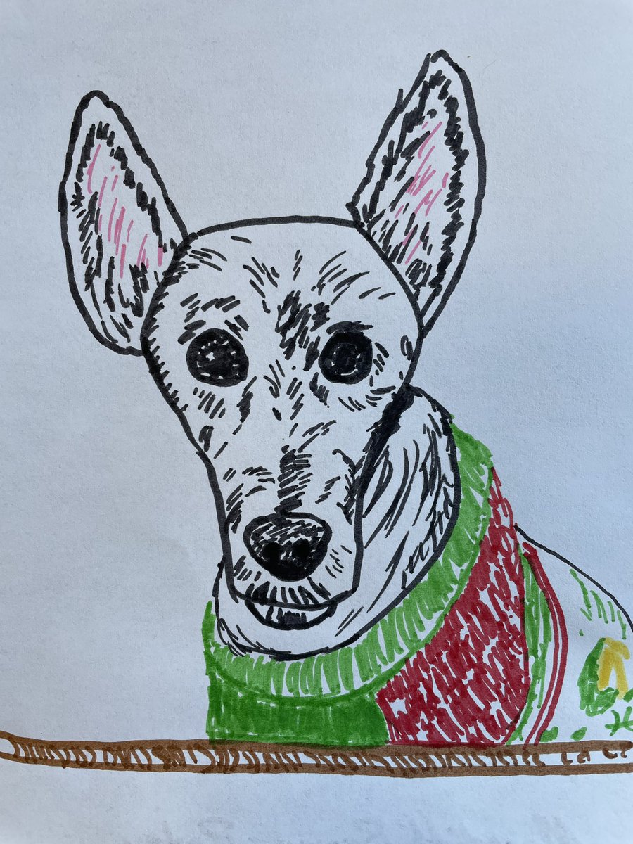 Meredith Brown tweet media