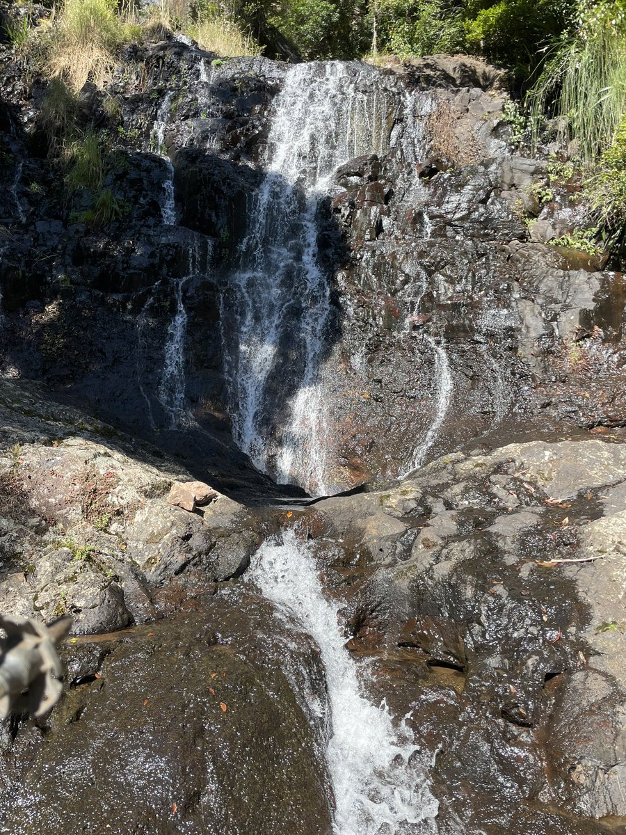 Lovely day for a solo hike! Beautiful waterfalls in this National Park and a challenging trail! Highlight of the day way seeing a lyrebird crossing the trail in front of me!