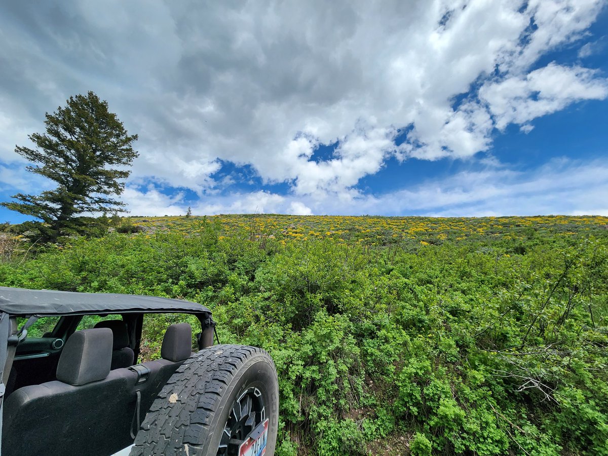 Melodywhite1026's tweet image. The mountains were calling. We went. Beautiful day #jeepgirl #idahome #jeepgirlslikeitdirty
