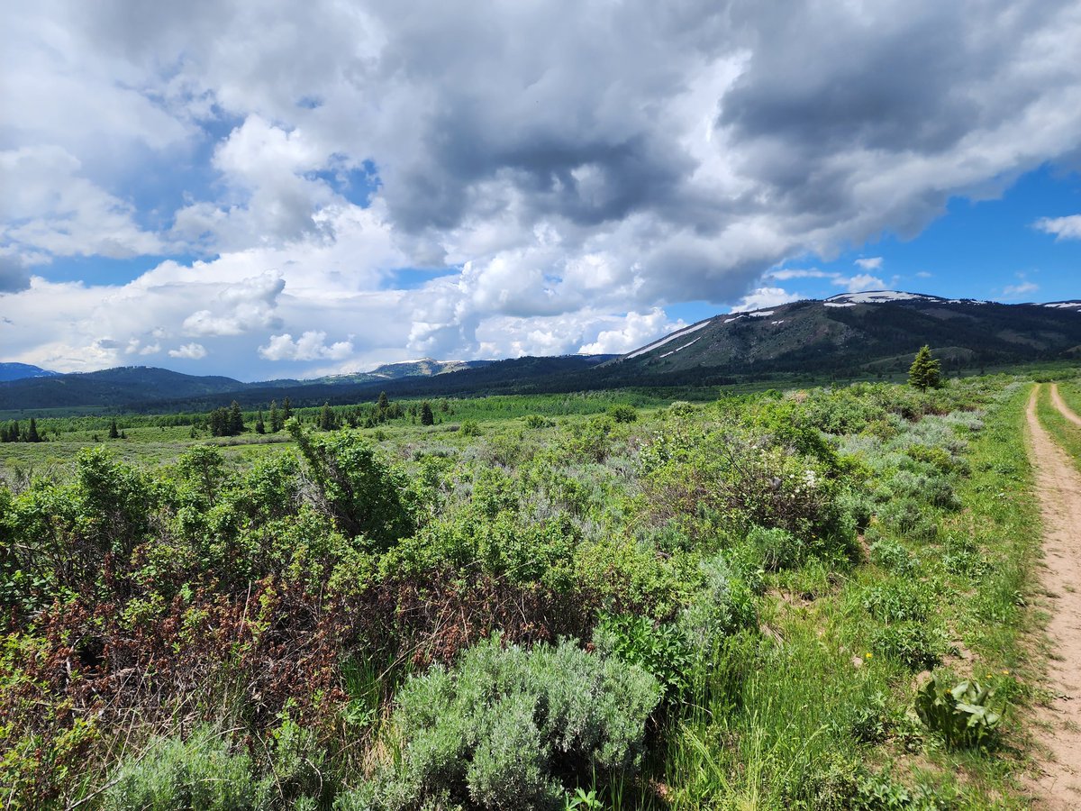Melodywhite1026's tweet image. The mountains were calling. We went. Beautiful day #jeepgirl #idahome #jeepgirlslikeitdirty