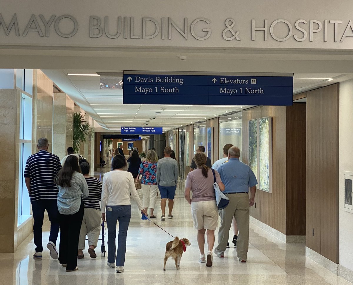 Rabih Tawk tweet media