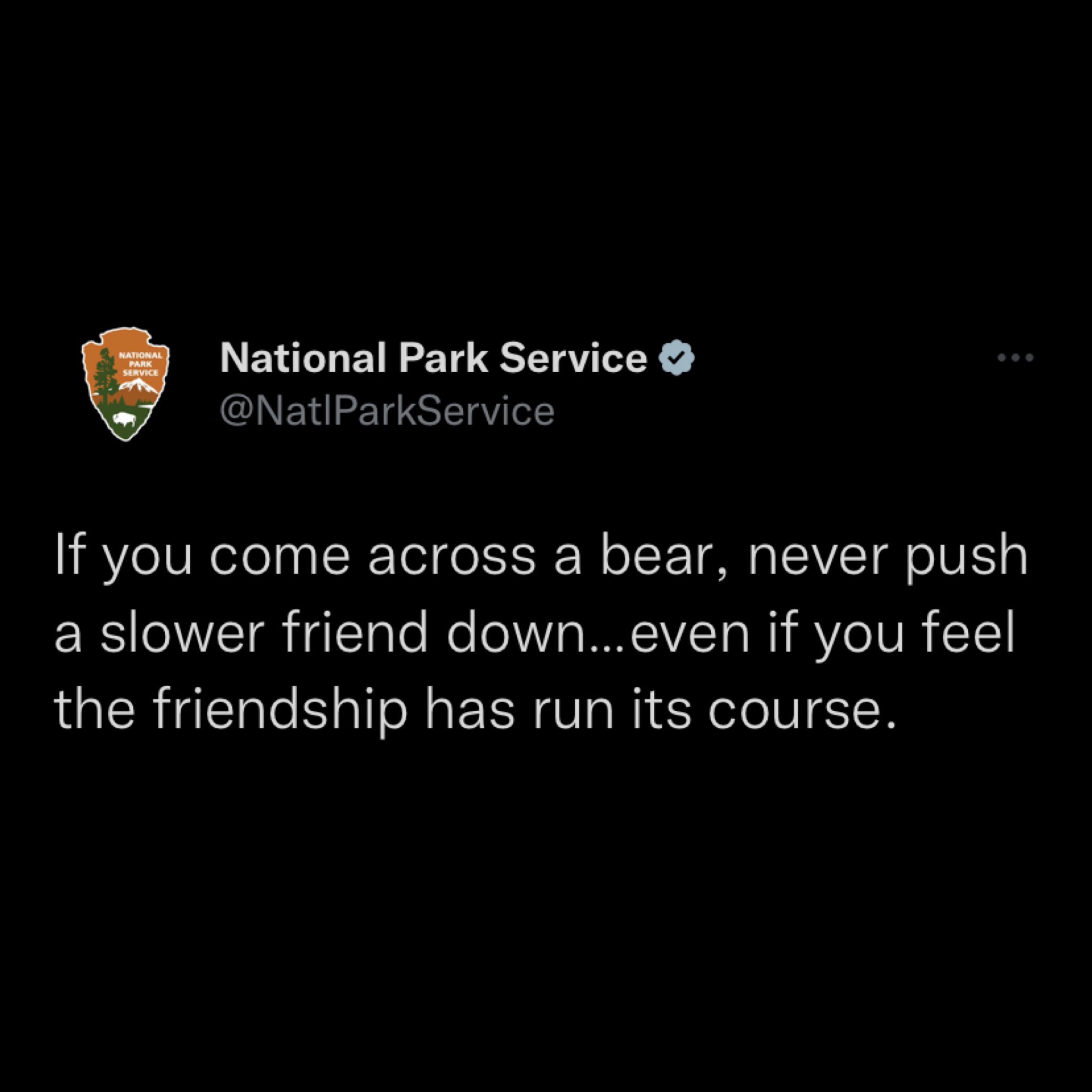 Do not 'push a slower friend down' if you encounter a bear, Nati - WFXG