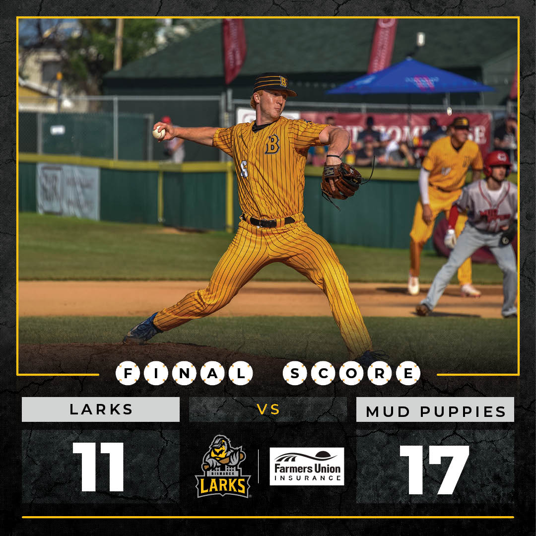 Larks fall to Mud Puppies in high-scoring ballgame - Bismarck Larks