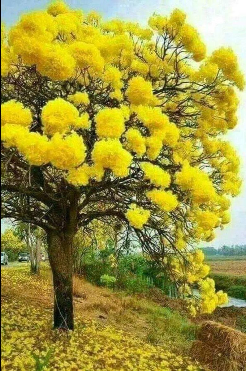 🍃God’s Beautiful Creation🍃