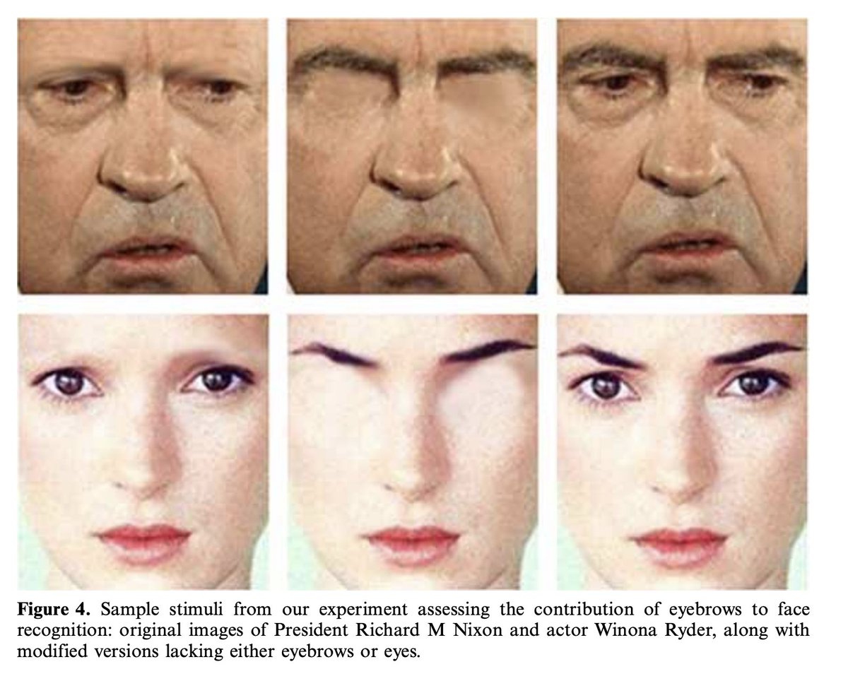 anniierau's tweet image. web.mit.edu/sinhalab/Paper…