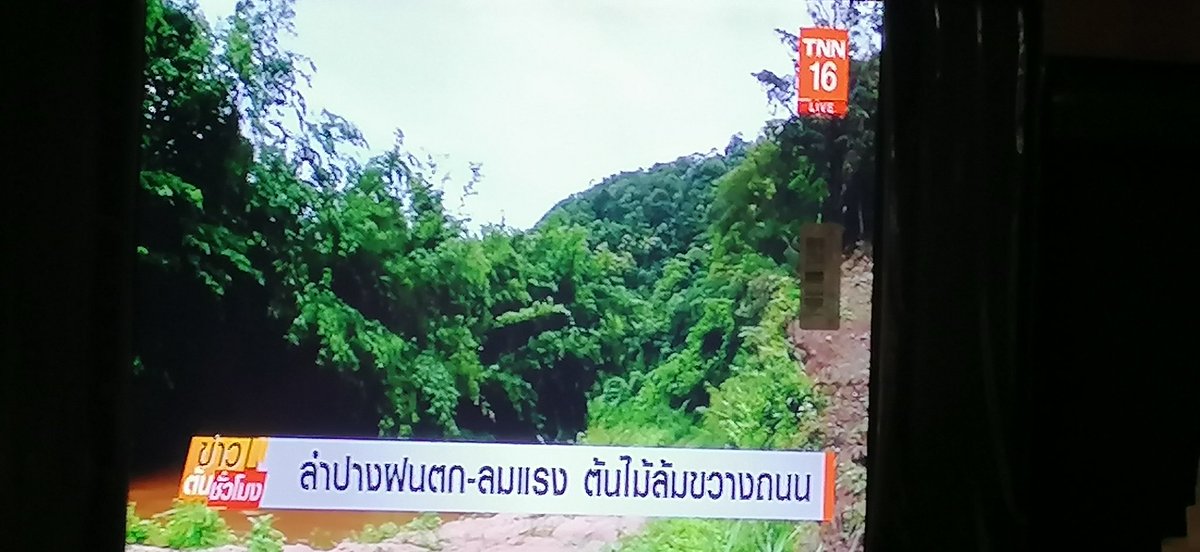ลำปางฝนตก ลมแรง ต้นไม้ขวางถนน