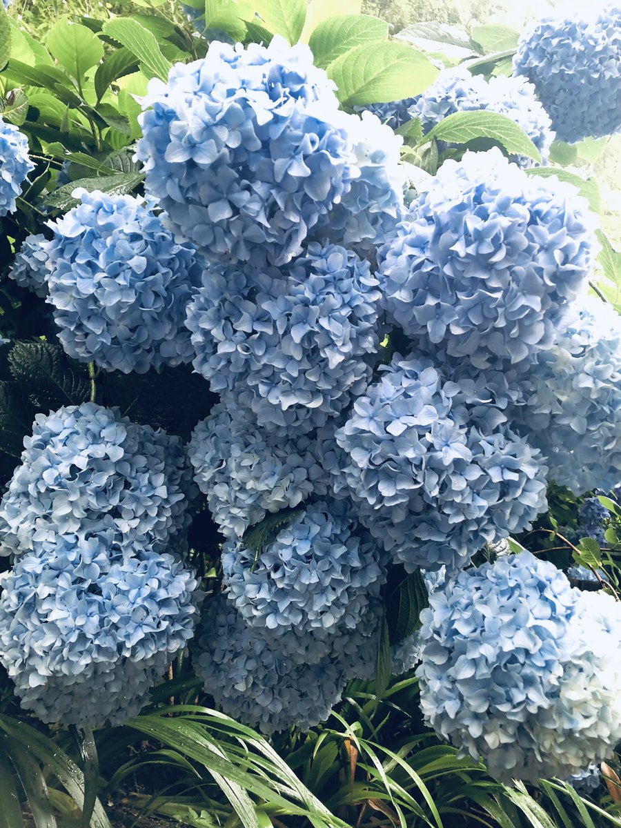 ロケハンきた！
雨の日きたかったから嬉しい☺️ https://t.co/zrpmI2qLcC