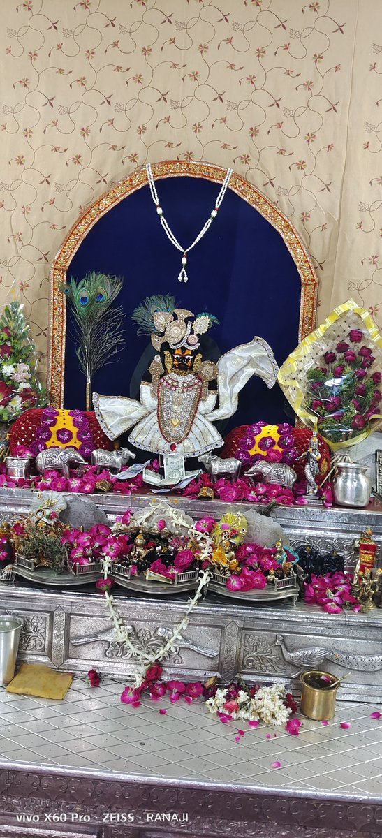श्री सांवलिया सेठ की जय (आज के दर्शन) 11 जून