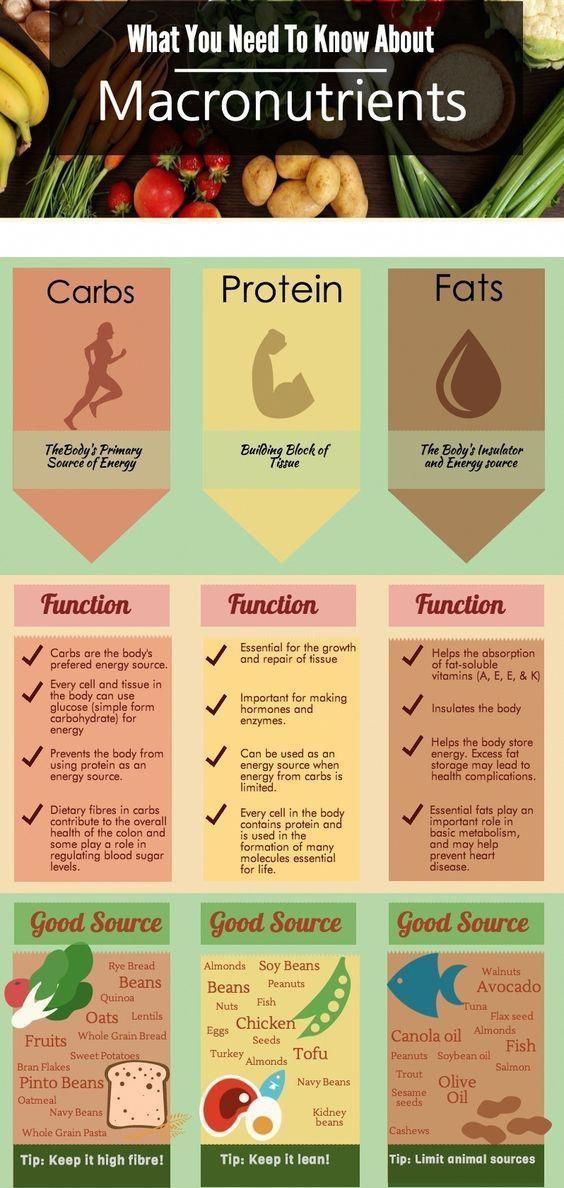 Thehealpad's tweet photo. What you need to know about macronutrients!! ✨🥑 https://t.co/LDN75CIxub