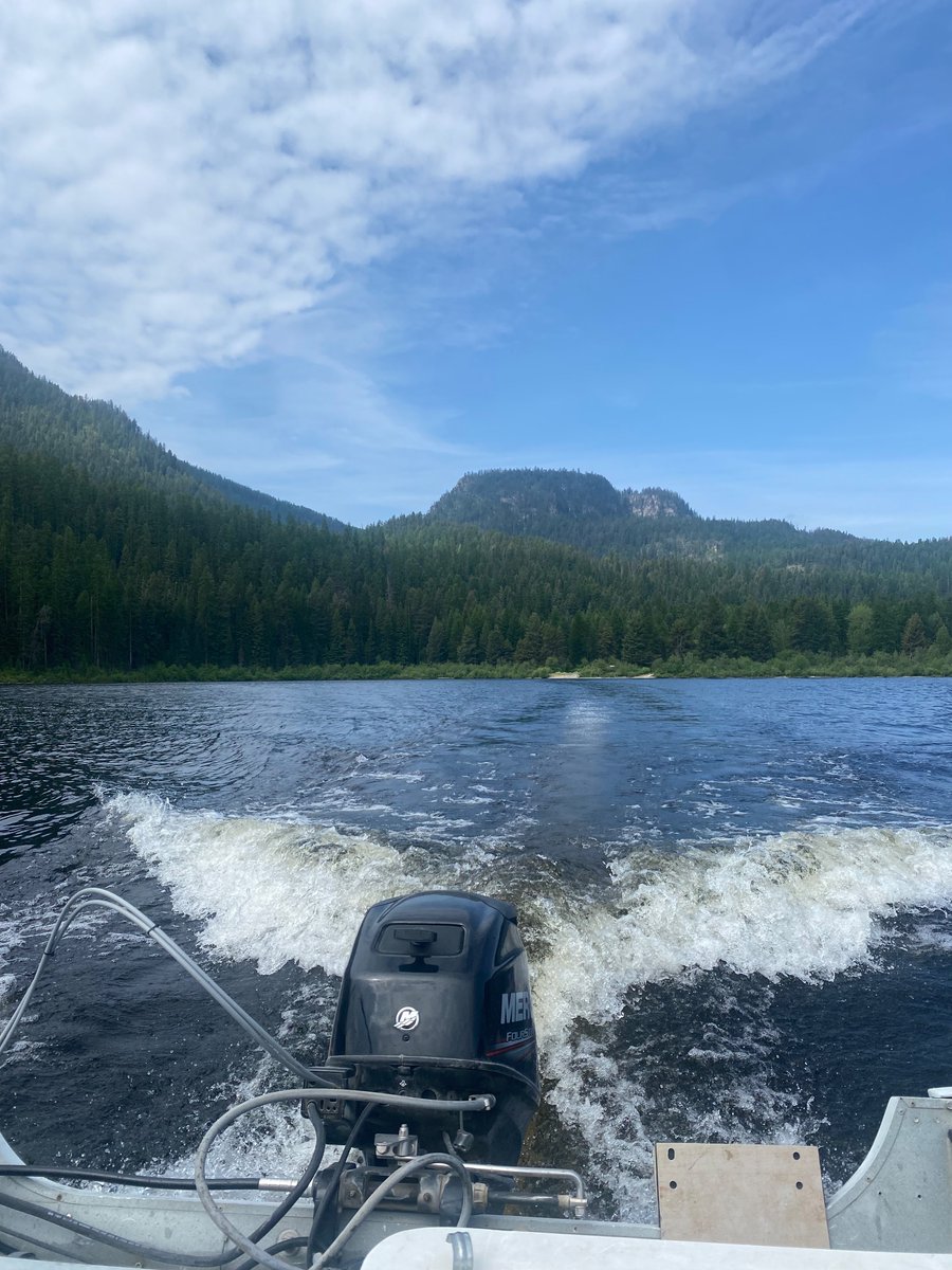 _Cassier0berts_'s tweet photo. First couple days in the field as the limnologist at Whitefish Lake Institute! If you’re looking for some long term Montana lake data let me know!! #limno #MT https://t.co/RYmm3aOCGl