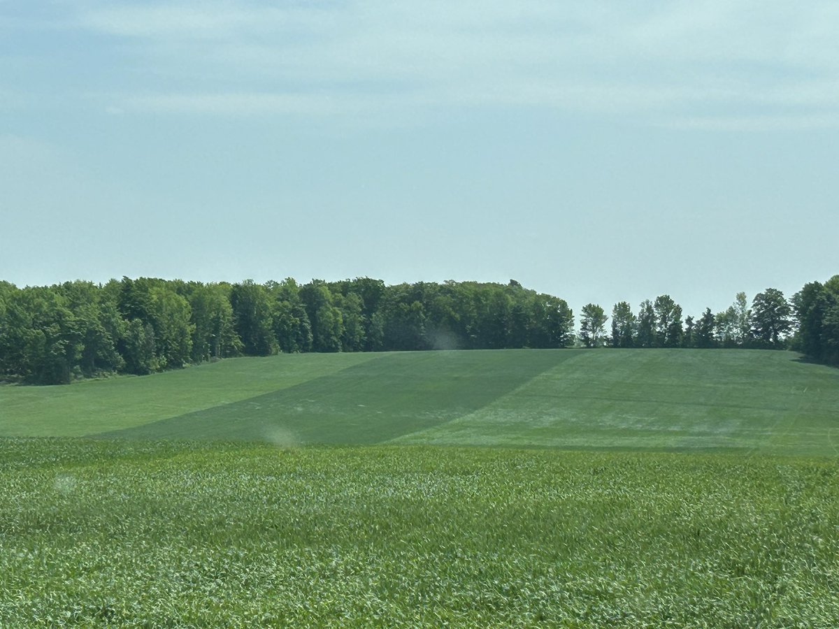 Jason Torry 🇨🇦 tweet media