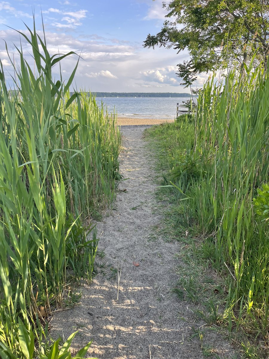 chrislb104's tweet photo. Little cold. But we got some. 🦪quahogs. #buttonwoodsbeach https://t.co/peld0EeeDe