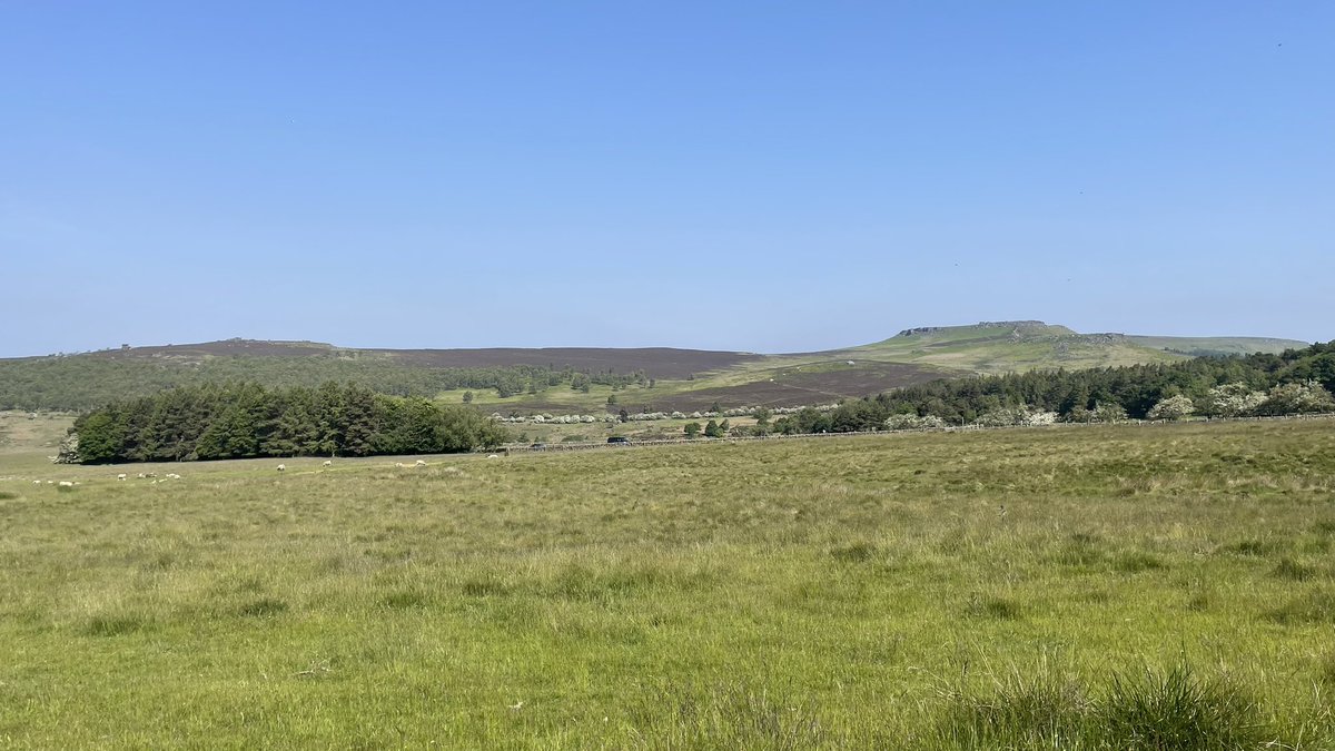 lauriebrennan's tweet photo. 🌲 morning at #longshaw @peakdistrict 
🚲 quick ride to #redmires 
🎸 evening in #S6 @ArcticMonkeys 

#sheffield @VisitSheffield @theoutdoorcity https://t.co/v2eRo25H5E