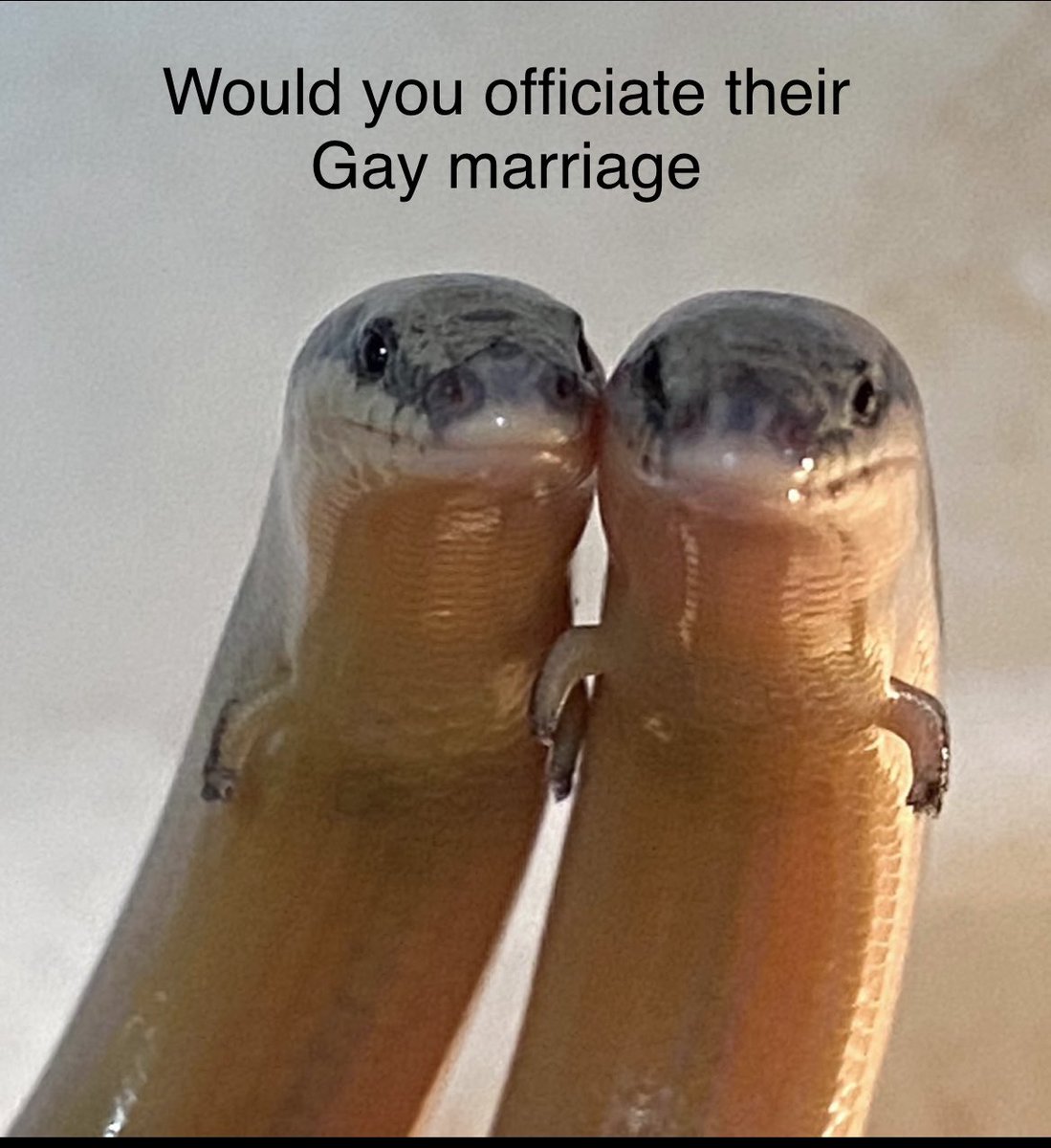 Naomi Elizabot (@nelizabot) on Twitter photo 