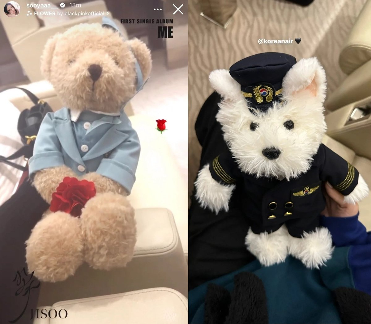 pannchoa on Twitter are amazed at BlackPink Korean Air private jet scale https//tinyurl