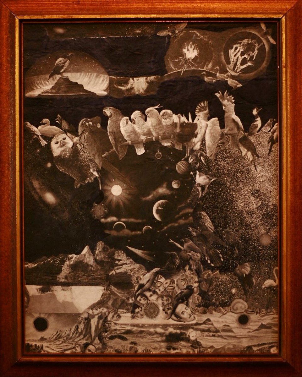 gothicnaturejo's tweet photo. Title: Ecology No. 6 (2020) Hand-cut collage in vintage timber frame.

From #GN4's Creative Corner, please enjoy Angie Contini’s Celebrations and Destructions of the Natural World 🍃🍃 

https://t.co/KUFmVAXhap https://t.co/d4IyOakT2v